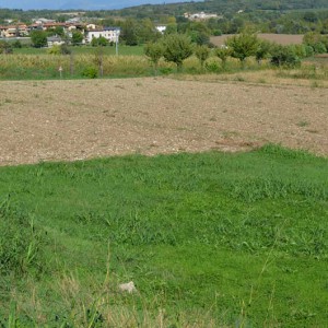 terreno edificabile in vendita a pozzolengo